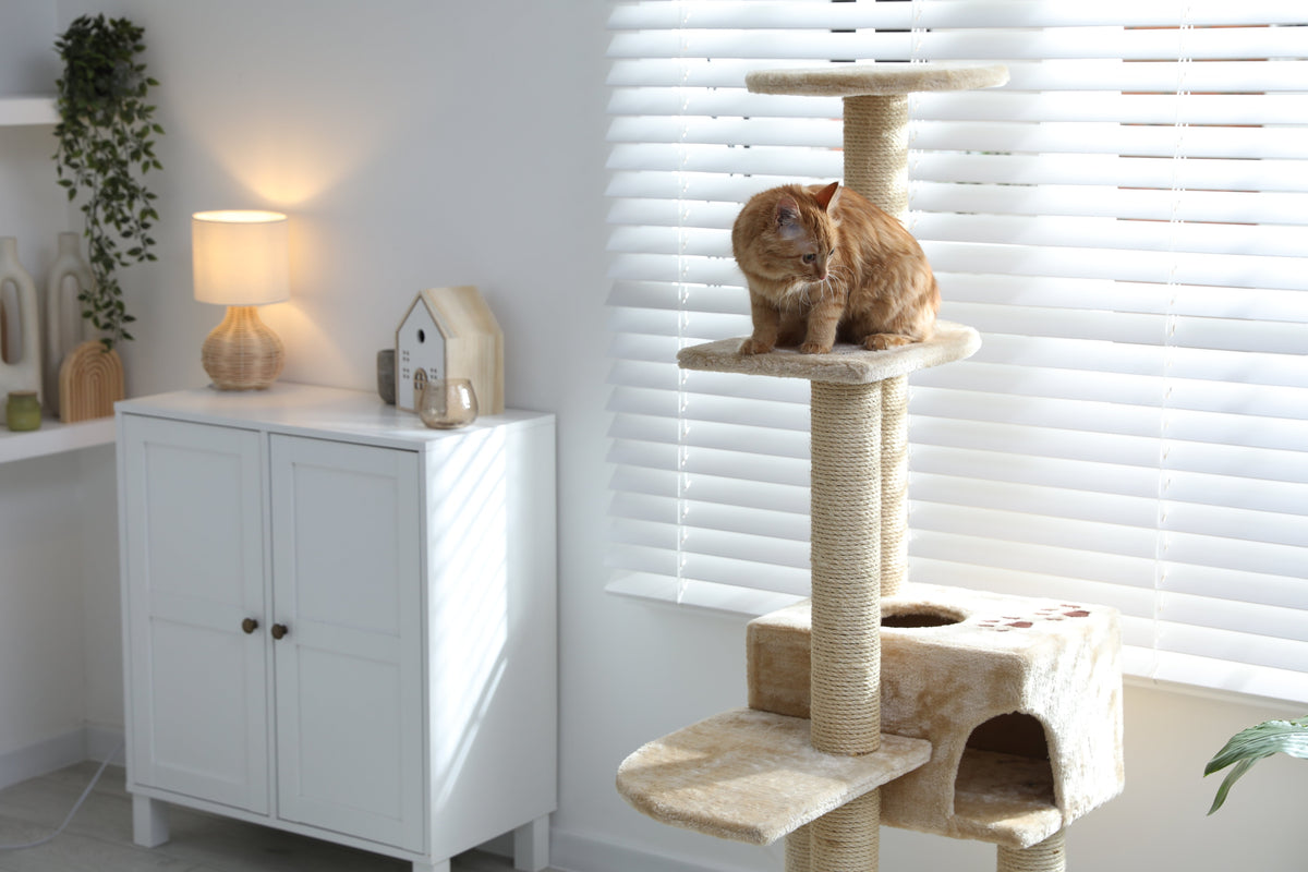 A ginger cat resting on a raised platform of an indoor cat tree.
