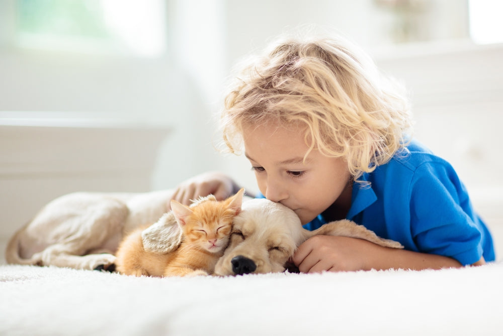 Anticoagulant Rat Poisoning in Pets: How to Identify, Treat, and Prevent Exposure in 2025 🐀☠️🐾