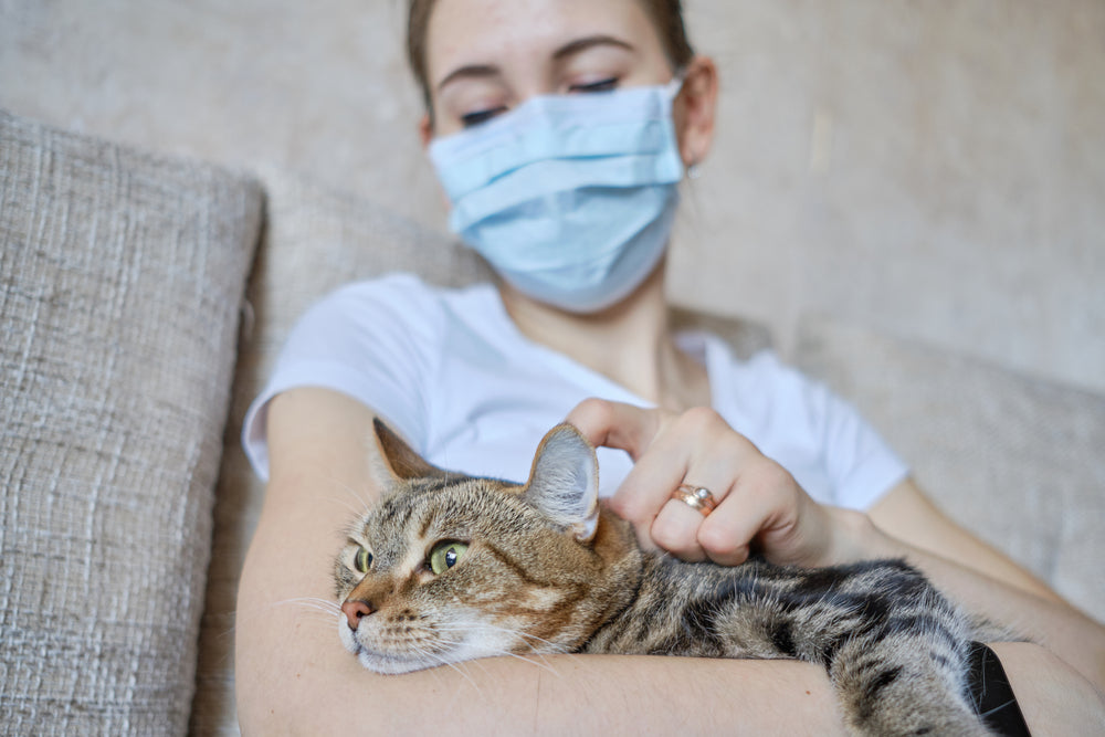 Bad Breath in Cats: Vet-Approved Guide to Causes, Symptoms & Treatment in 2025 🐱🦷🩺