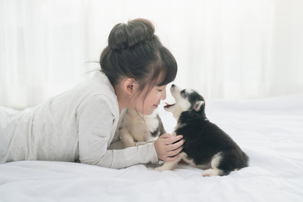 Bad Breath in Dogs and Cats: A 2025 Vet Guide to Halitosis Causes and Care 🦷🐶🐱