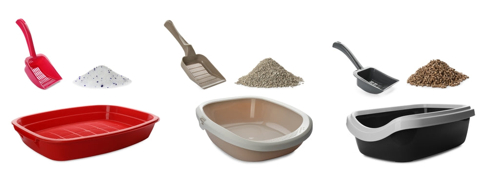 Best Cat Litter Vet Recommendations 2025