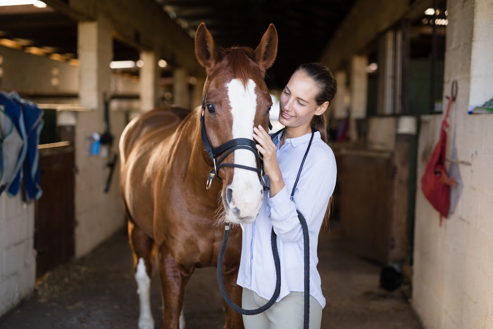 Borna Disease in Horses: Neurological Signs and Veterinary Investigation