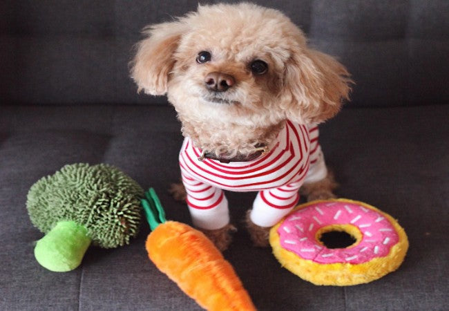 Food Allergies in Dogs: How an Elimination Diet Trial Works
