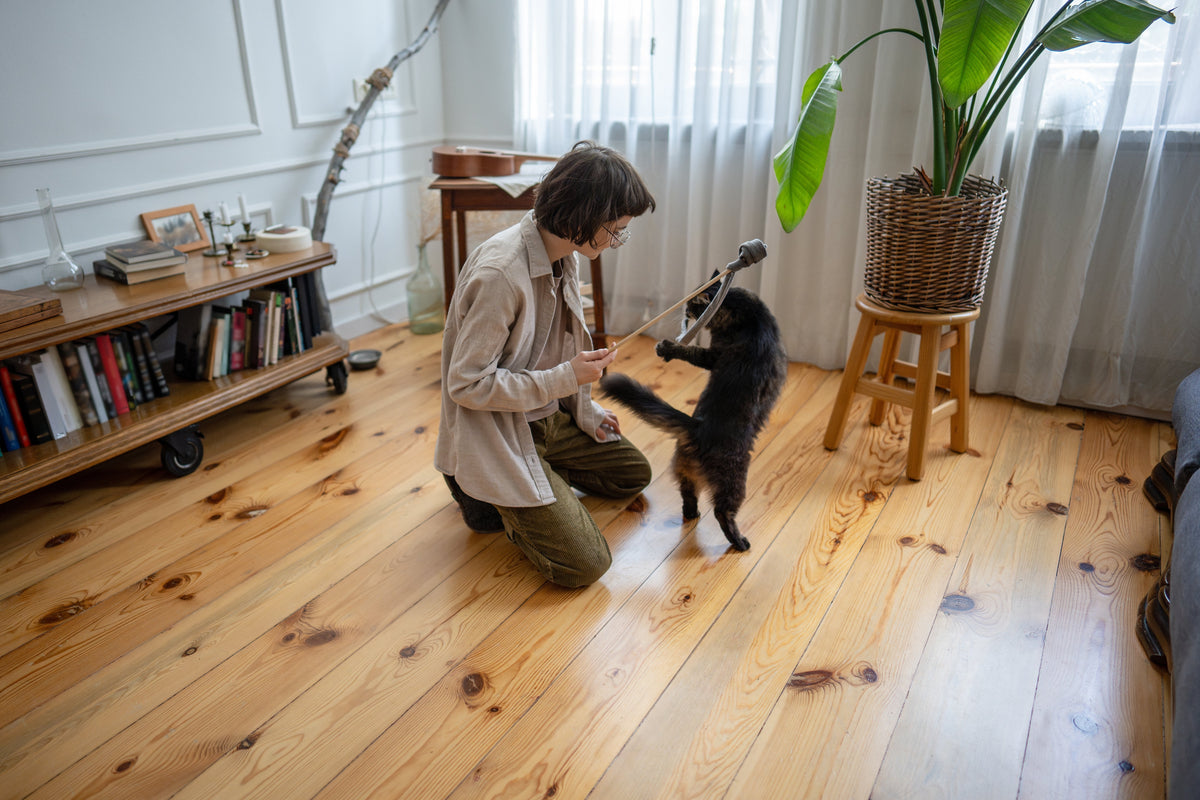 A person plays with a black cat using a wand toy on a wooden floor.