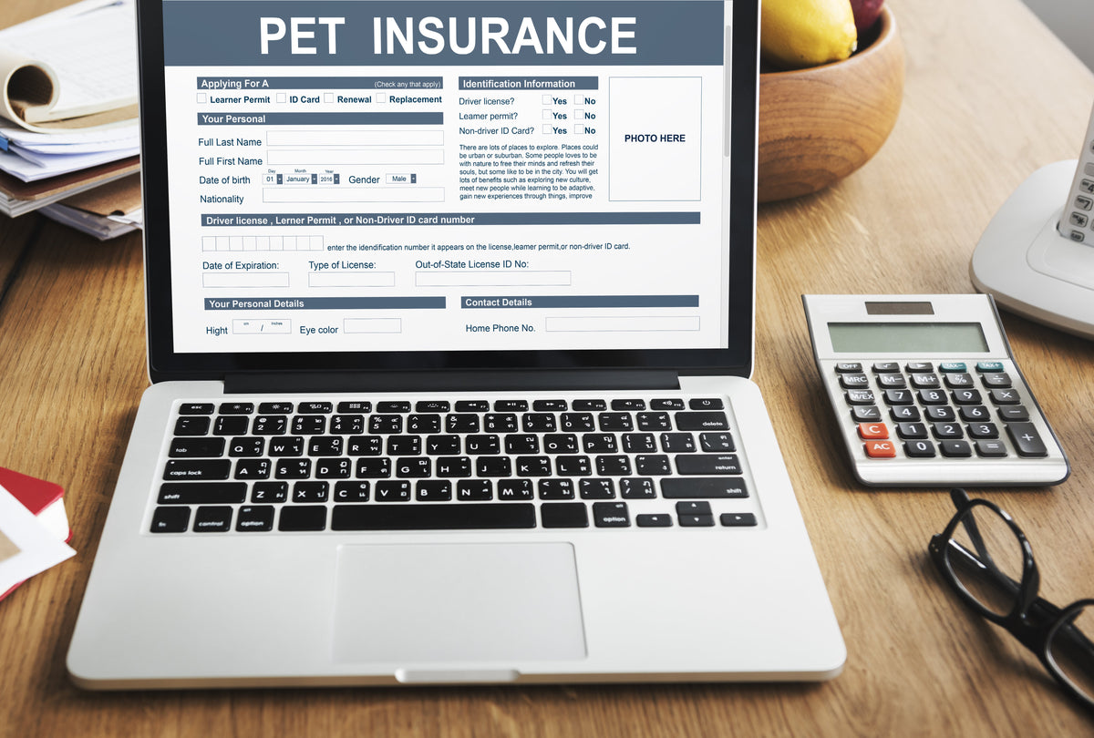 A laptop displaying a pet insurance heading beside a calculator on a wooden desk.
