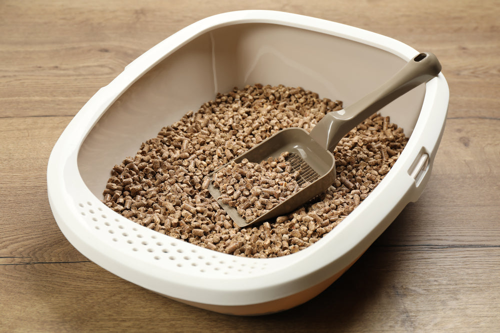 How to Choose Cat Litter Your Cat Will Actually Use