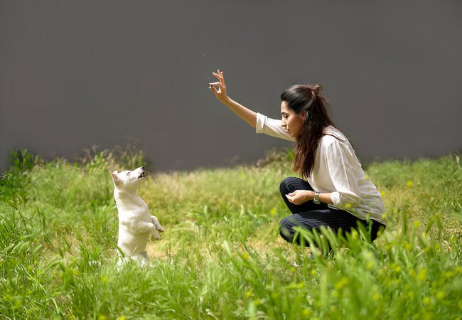 Teaching Your Dog “Speak” and “Quiet”: Keep the Cues Clear