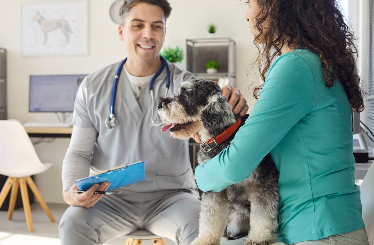 Veterinarian with a clipboard speaking with an owner holding a Schnauzer in a clinic.