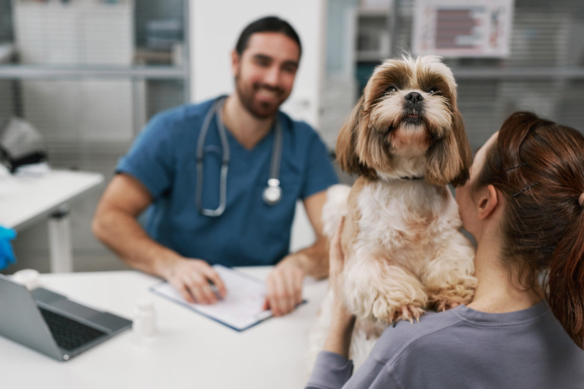Owner holding a small long-haired dog while speaking with a veterinarian in a clinic.