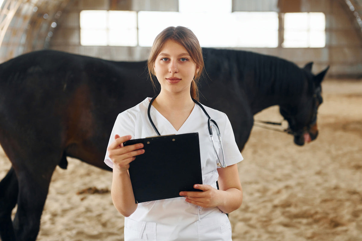 Veterinary professional holding a clipboard beside a dark horse in a stable.