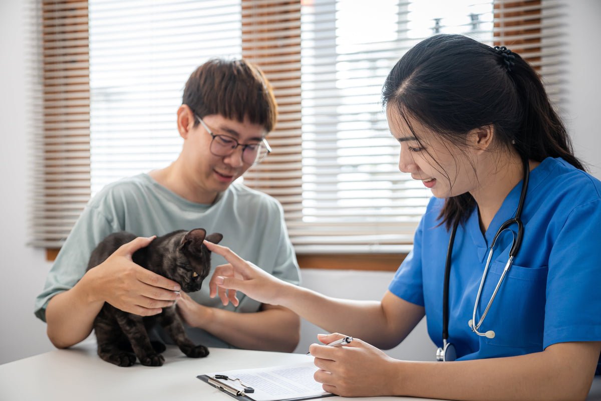 A person holds a dark-coated cat while a veterinary professional examines it at a clinic.