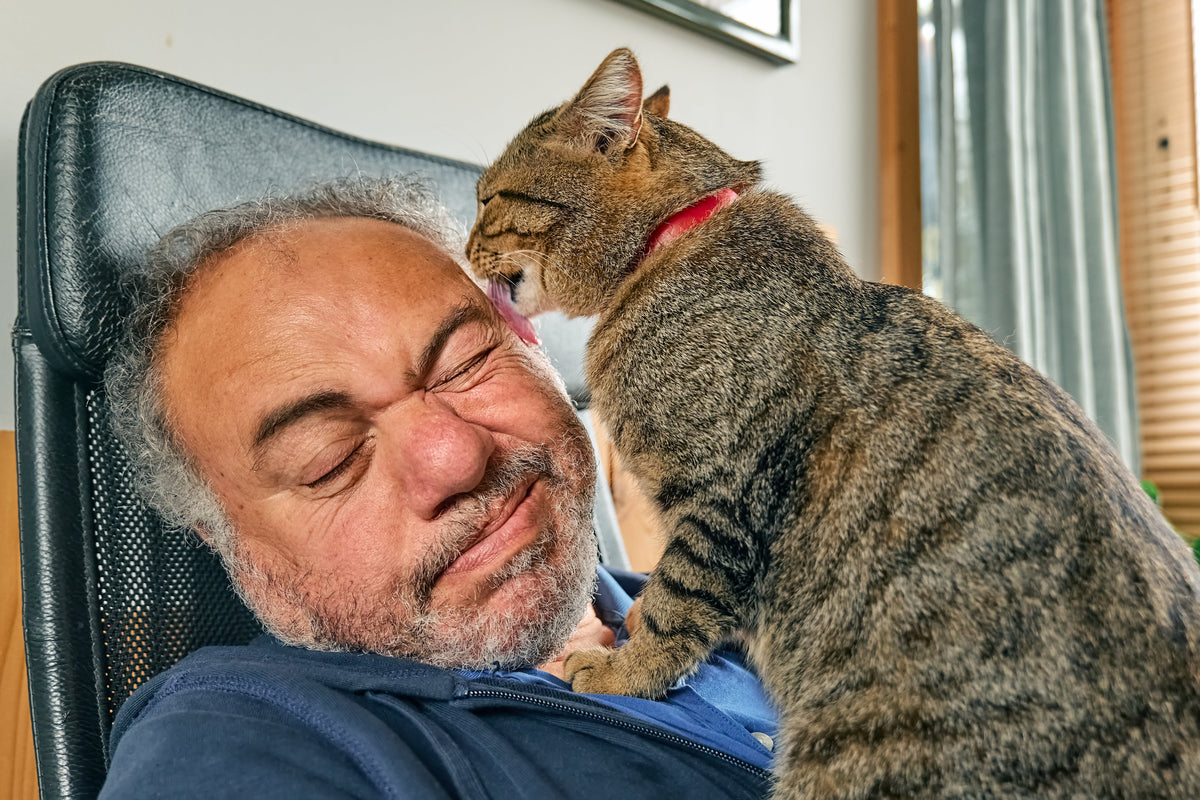 Tabby cat licking a seated man’s forehead.