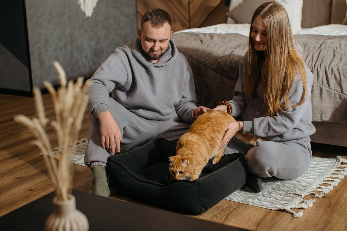 Two adults seated on the floor stroke a ginger cat standing in a black pet bed.