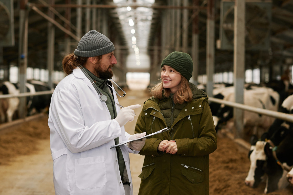 Veterinarian holding a clipboard and talking with a person in a cattle barn.