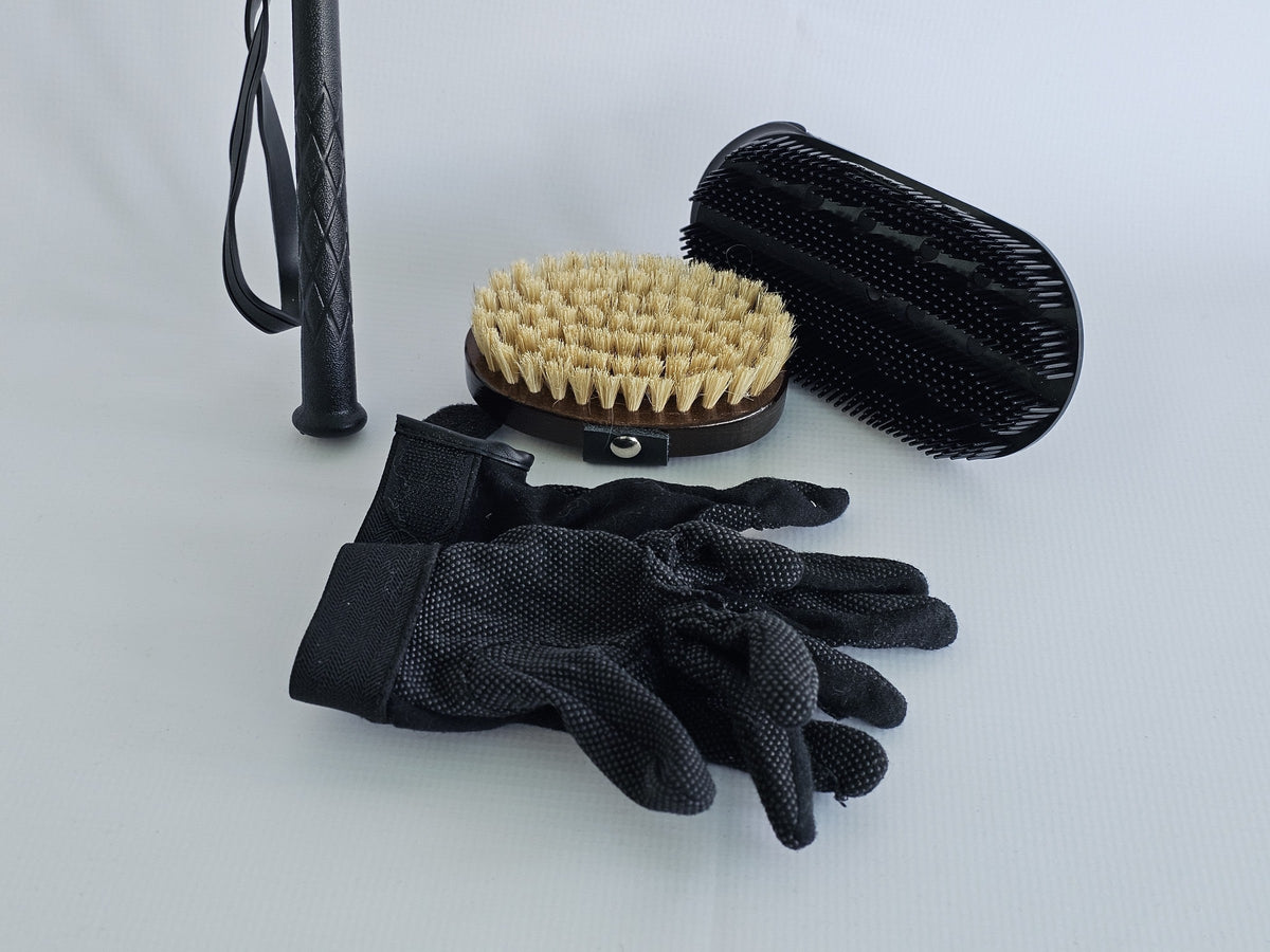 Horse grooming brushes and black gloves arranged on a light surface.