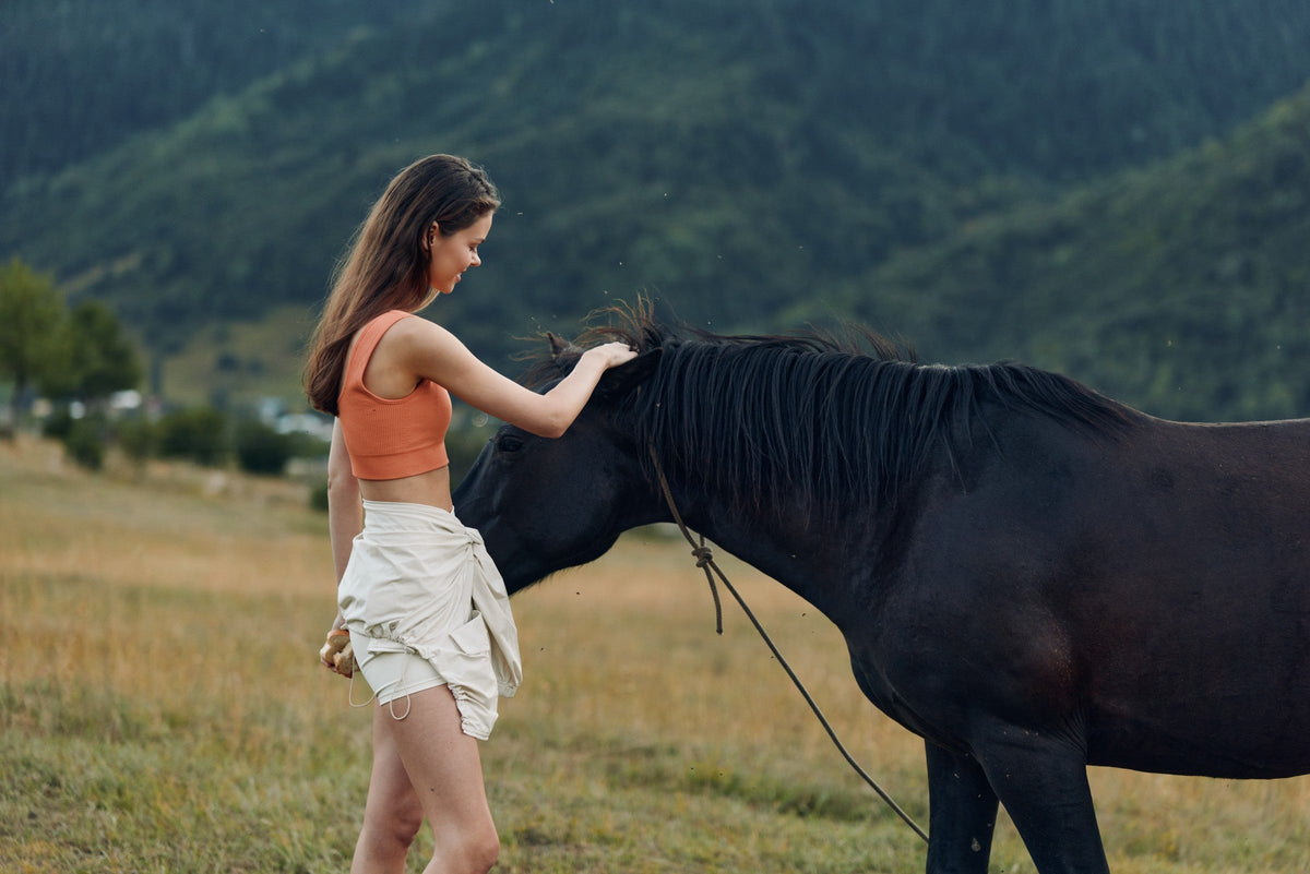 Person gently stroking a black horse in a grassy field.