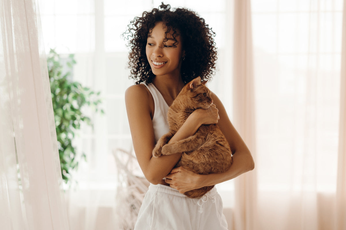 Person holding a ginger cat with its body supported in their arms.