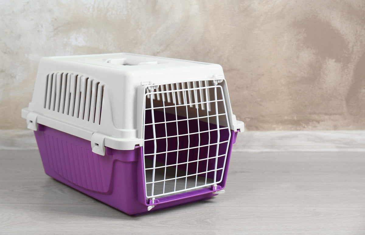 Purple-and-white pet carrier with an open wire door beside a wall.