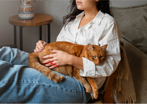 Bacterial Diarrheas in Puppies & Kittens: Vet Guide 2025 – Dr Duncan Houston