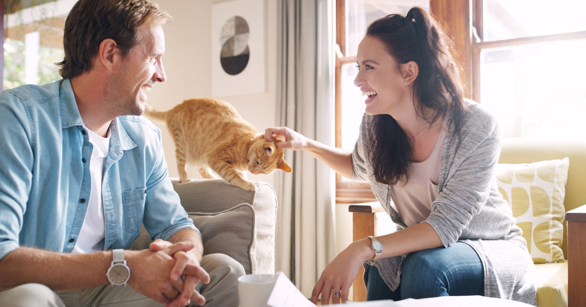 A cat approaching two people sitting together on a sofa.