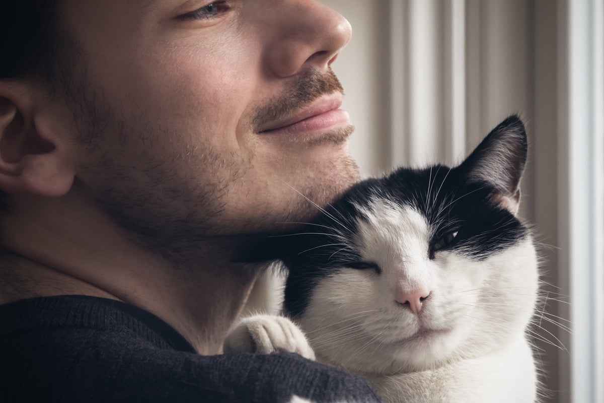 A black-and-white cat resting with closed eyes in a person's arms.