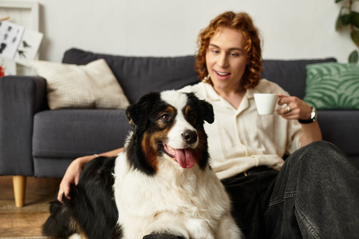 A person sitting at home beside a black, white and tan dog.