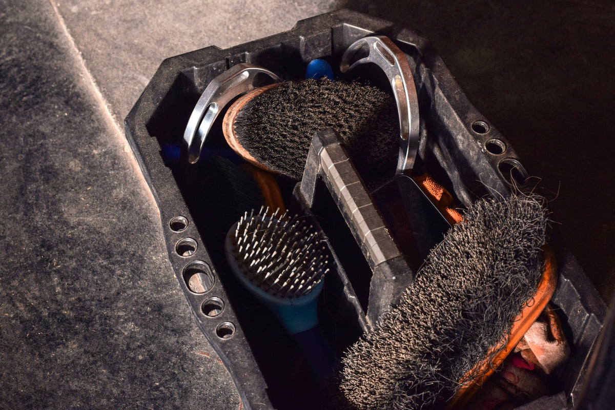 Horse grooming brushes and metal curry combs in a black carrying box.