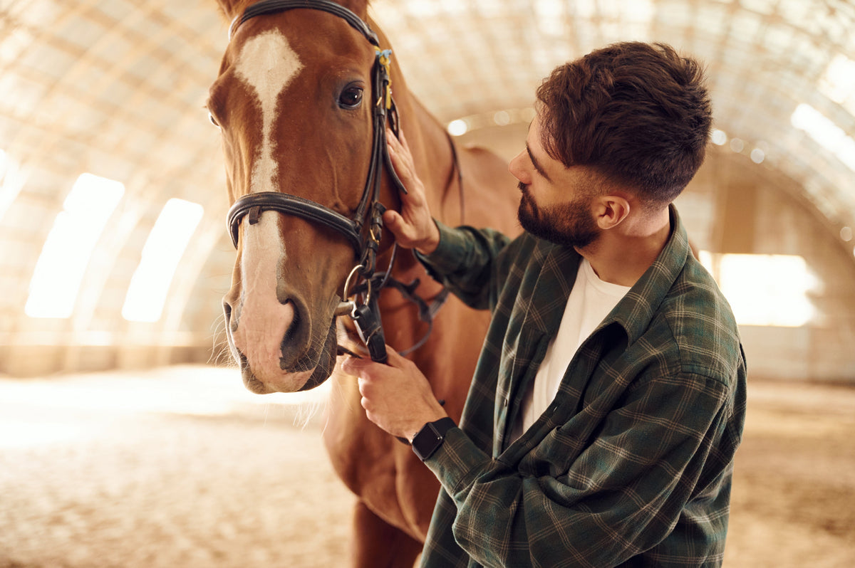 A man stroking a chestnut horse with a white blaze inside an indoor riding arena.