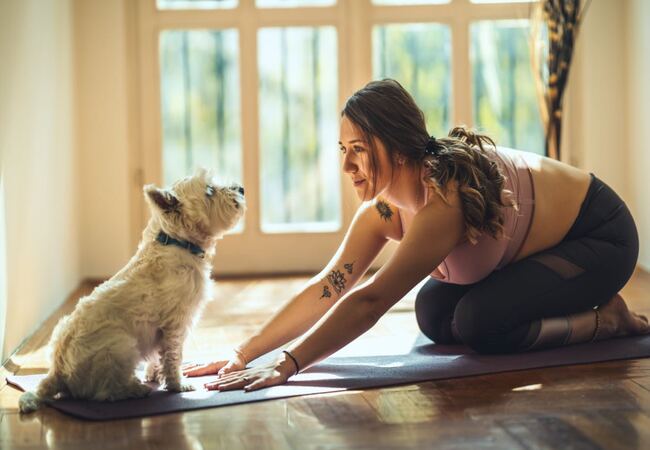 6 Ways to Stay Active Alongside Your Dog Safely