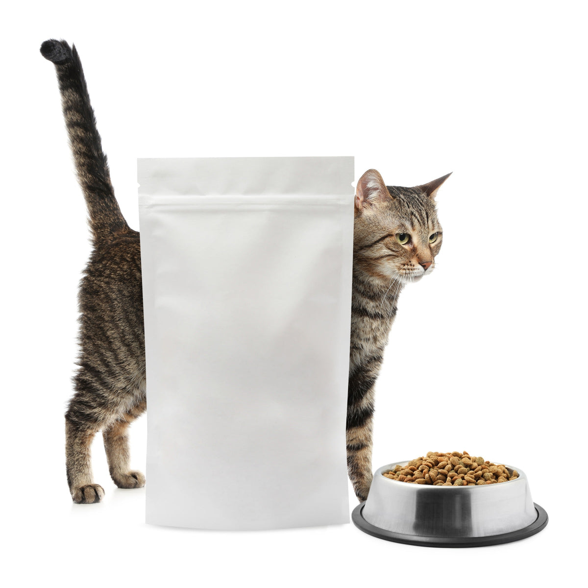 Tabby cat beside a plain white food bag and a bowl of dry food.