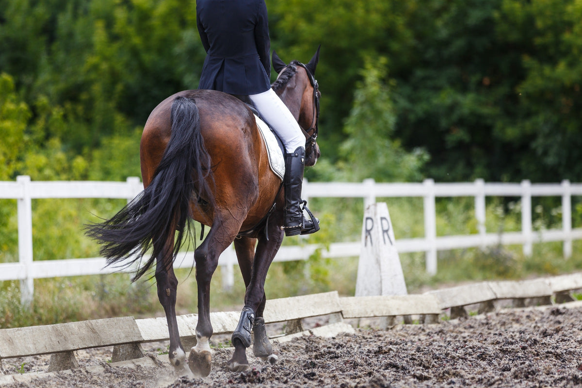 Rear view of a rider on a brown horse in an outdoor riding arena.