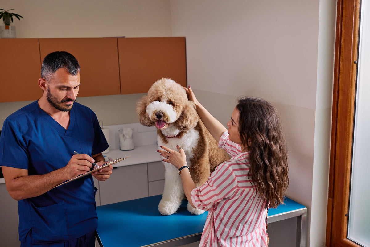 Dog on an examination table with its owner and a veterinarian writing on a clipboard.