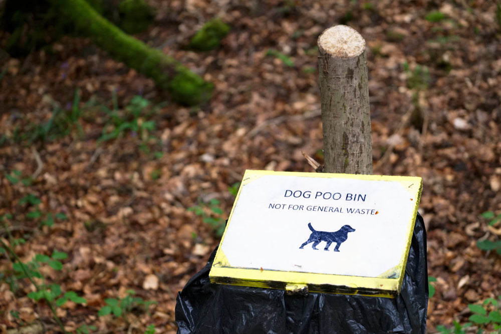 Plant-Based and Cornstarch Dog Poo Bags: What Are They Made Of?
