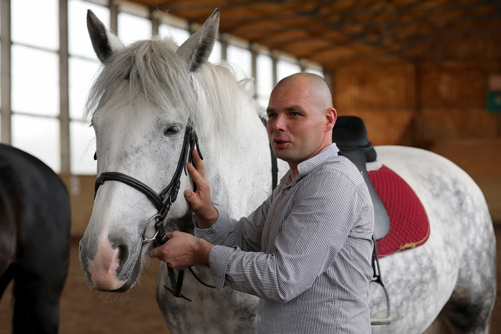 How to Prevent Contagious Disease Outbreaks in Horses