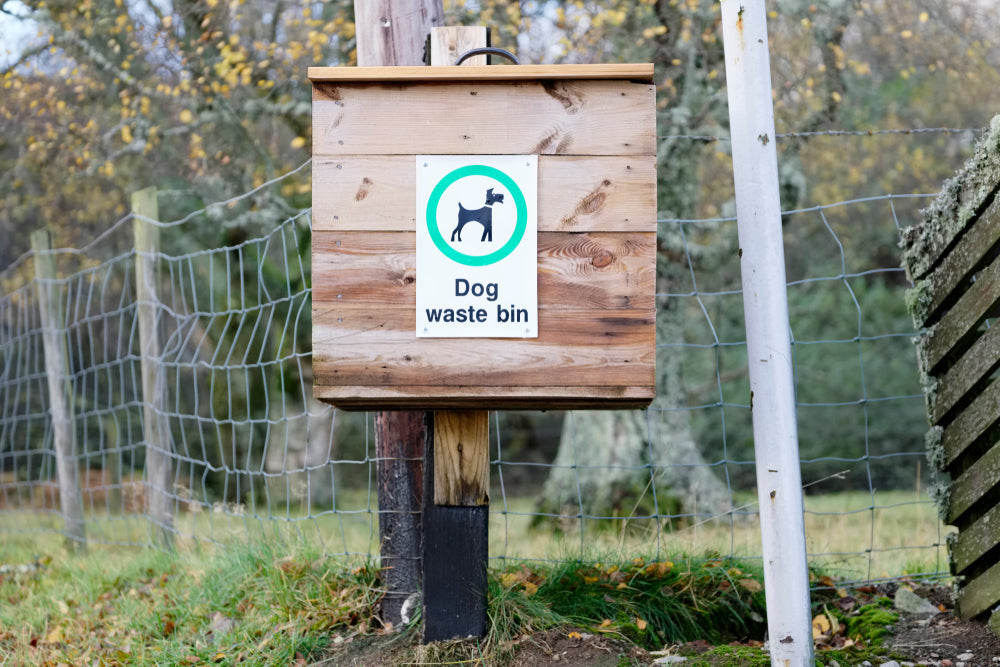 9 Checks Before Calling Dog Poo Bags Eco-Friendly