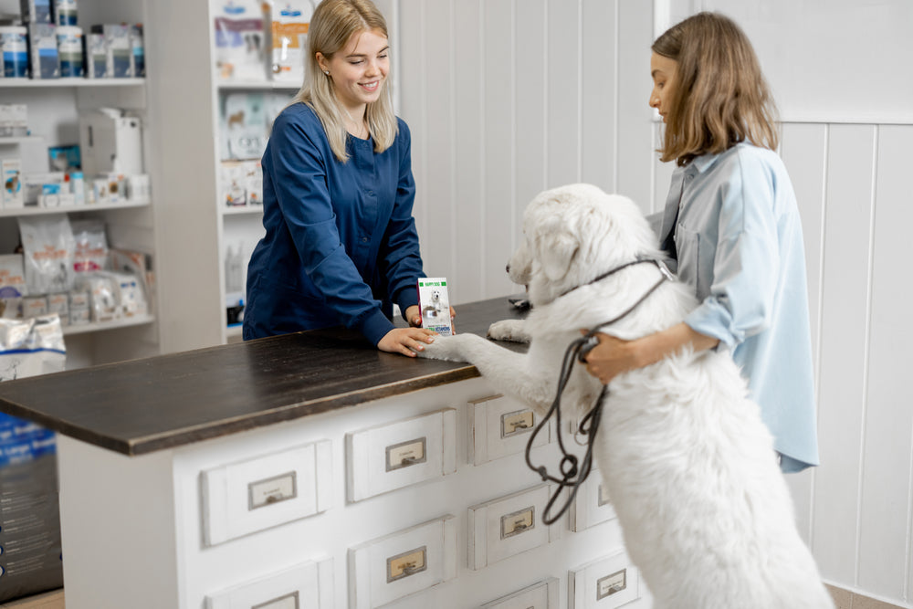 How to Choose a Vet: Questions to Ask Before You Register