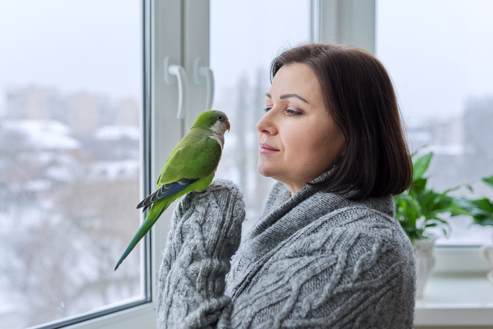 Why Do Parrots Talk? Mimicry, Learning and Meaning
