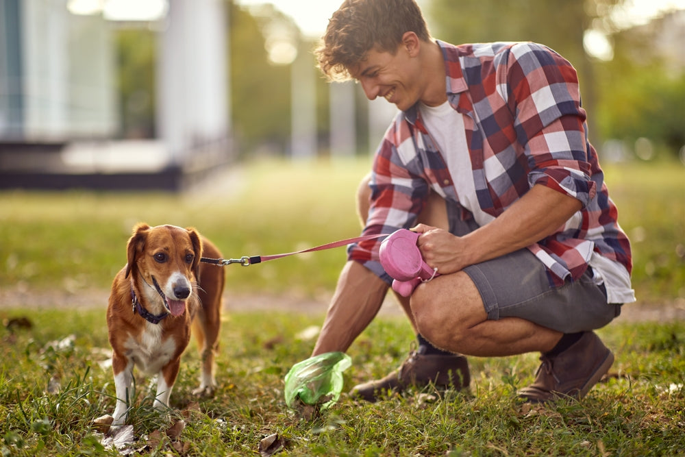 Why Picking Up Dog Poo Matters for Soil, Water and Wildlife