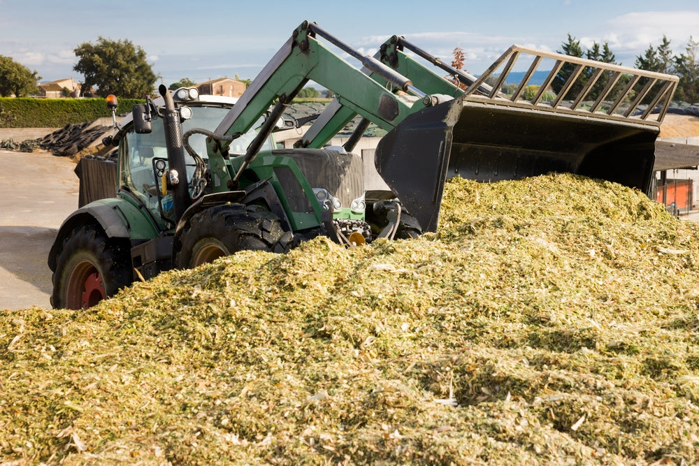 Hay Replacement Options for Horses: What To Feed When Hay Is Limited