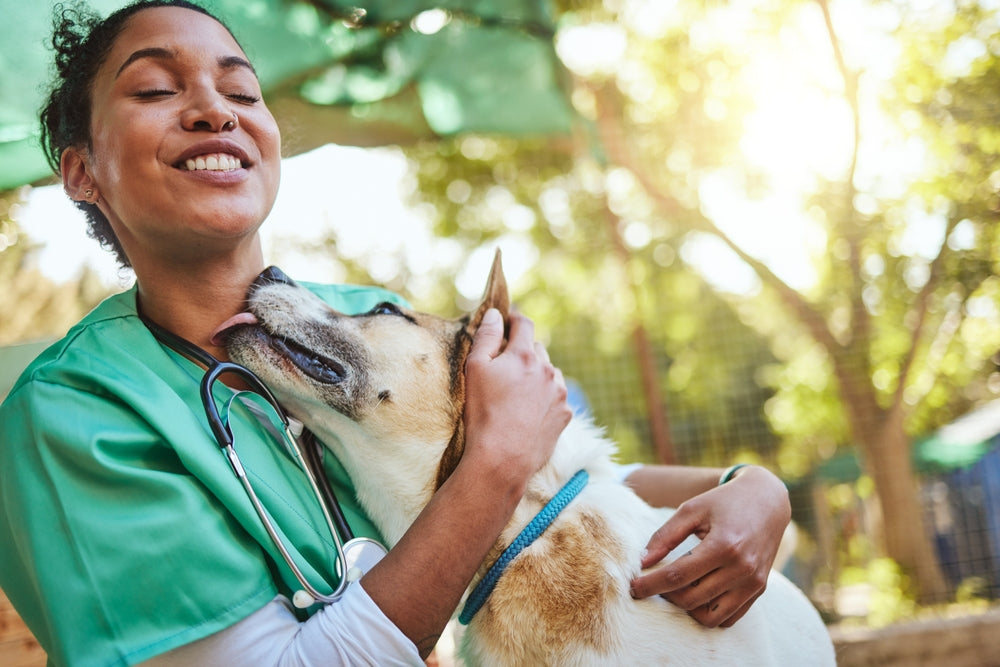 10 Questions to Ask Your Veterinarian for a Clearer Care Plan