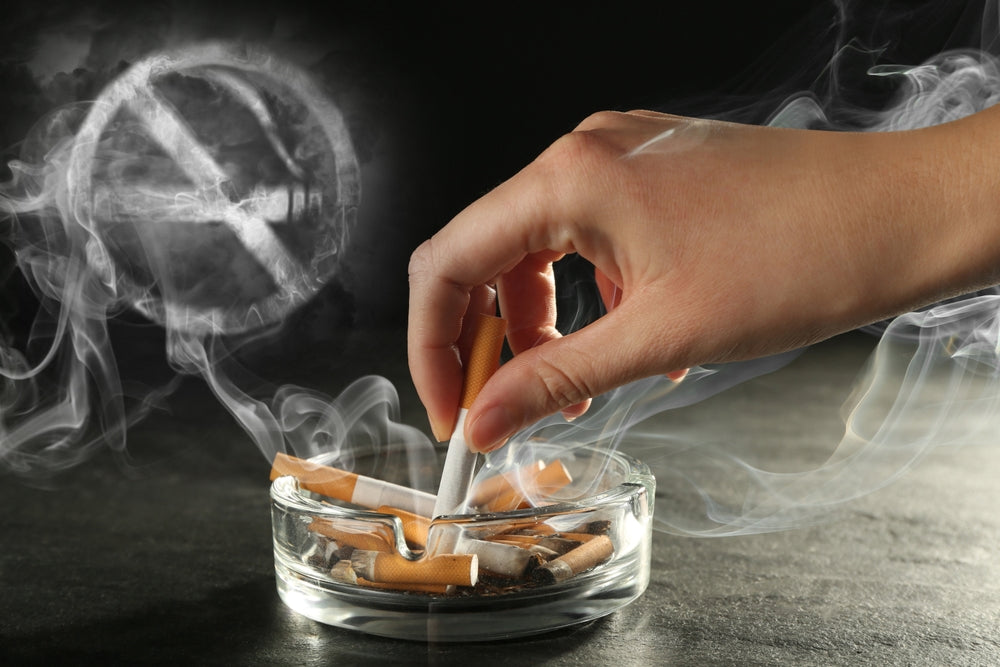 Nicotine Poisoning in Pets