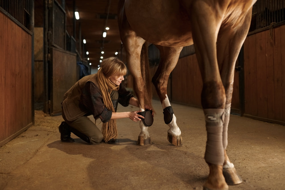 Platelet-Rich Fibrin for Horse Leg Wounds