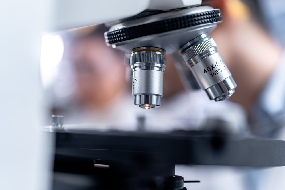 Histopathology in Pets: How Veterinarians Diagnose Disease at the Microscopic Level