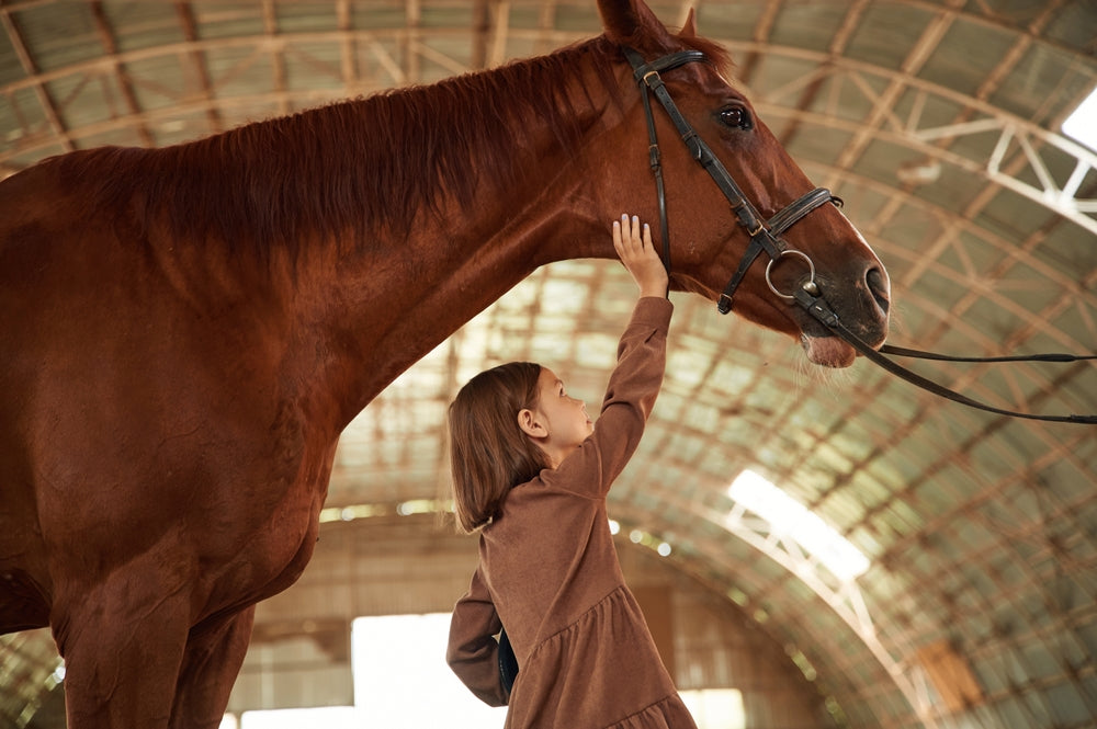 Viral Respiratory Disease in Horses: Vaccines, Show Biosecurity and When to Worry