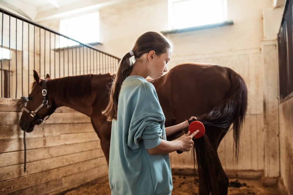 Cleaning and Disinfecting Horse Stalls and Trailers