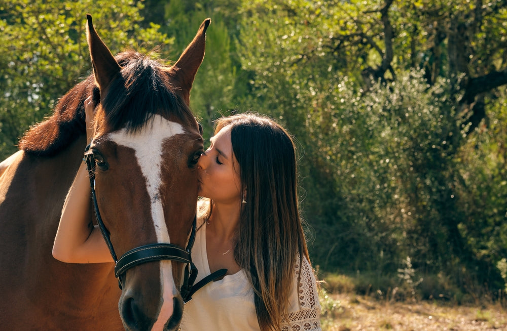 Are Grazing Muzzles Safe for Horses?