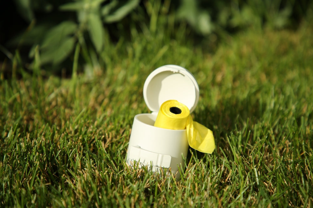 Are Biodegradable and Compostable Dog Poo Bags Eco-Friendly?