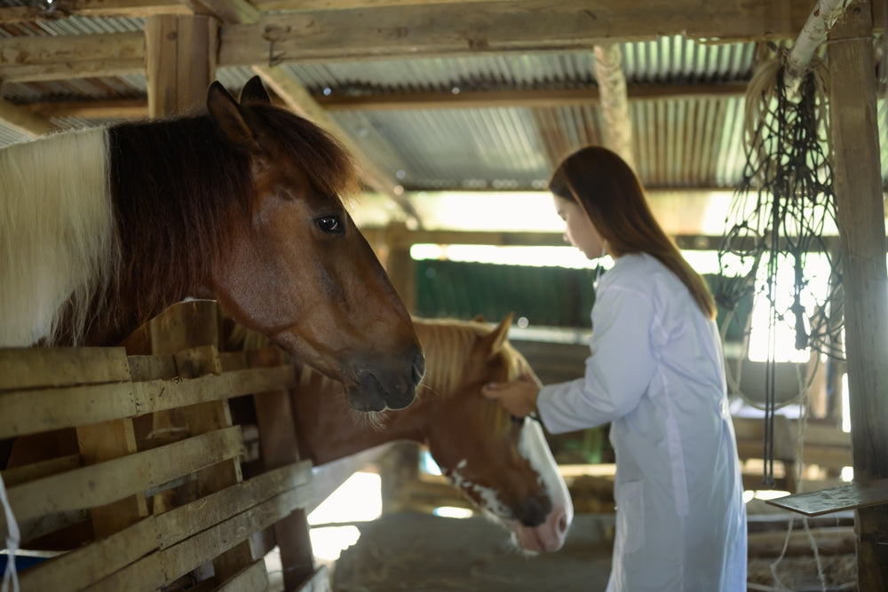 How to Prevent Dewormer Resistance in Horses