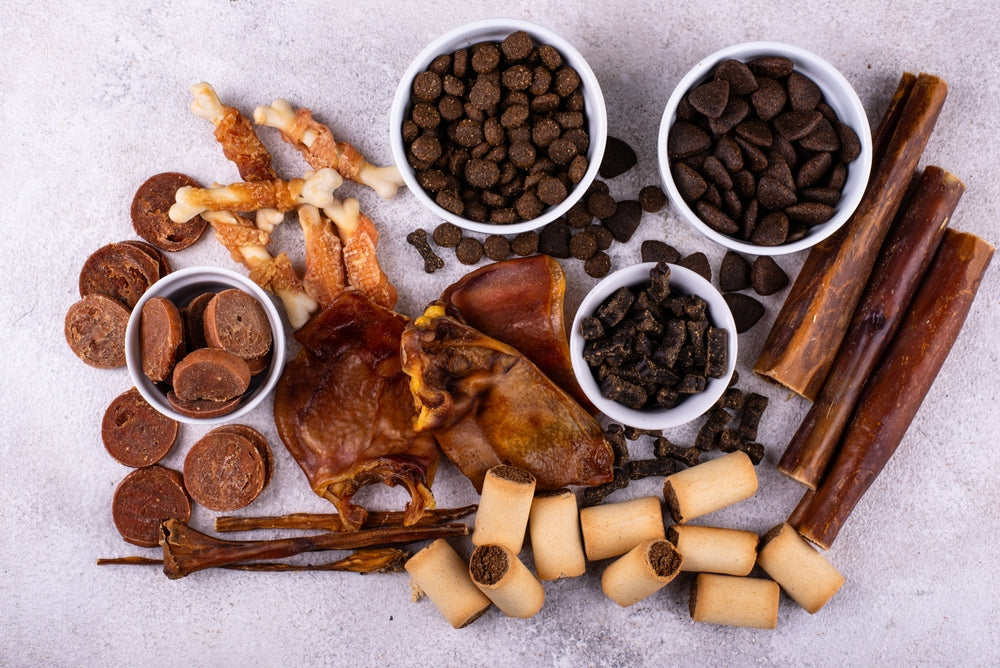 Natural Treats for Dogs: Safe Foods and Sensible Portions