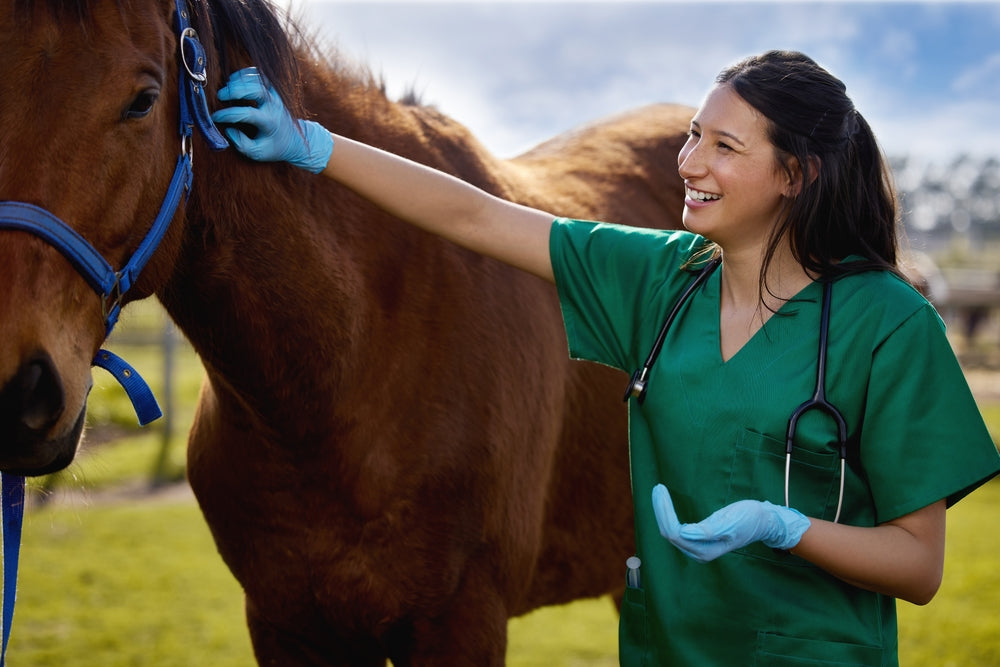 Is Off-Label Medication Legal for Horses?